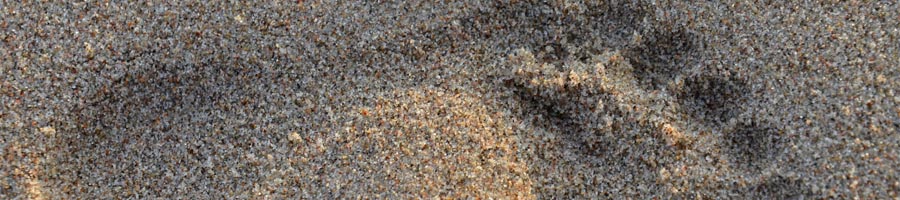 conni_eyrich_0014_Ebene 12.jpg